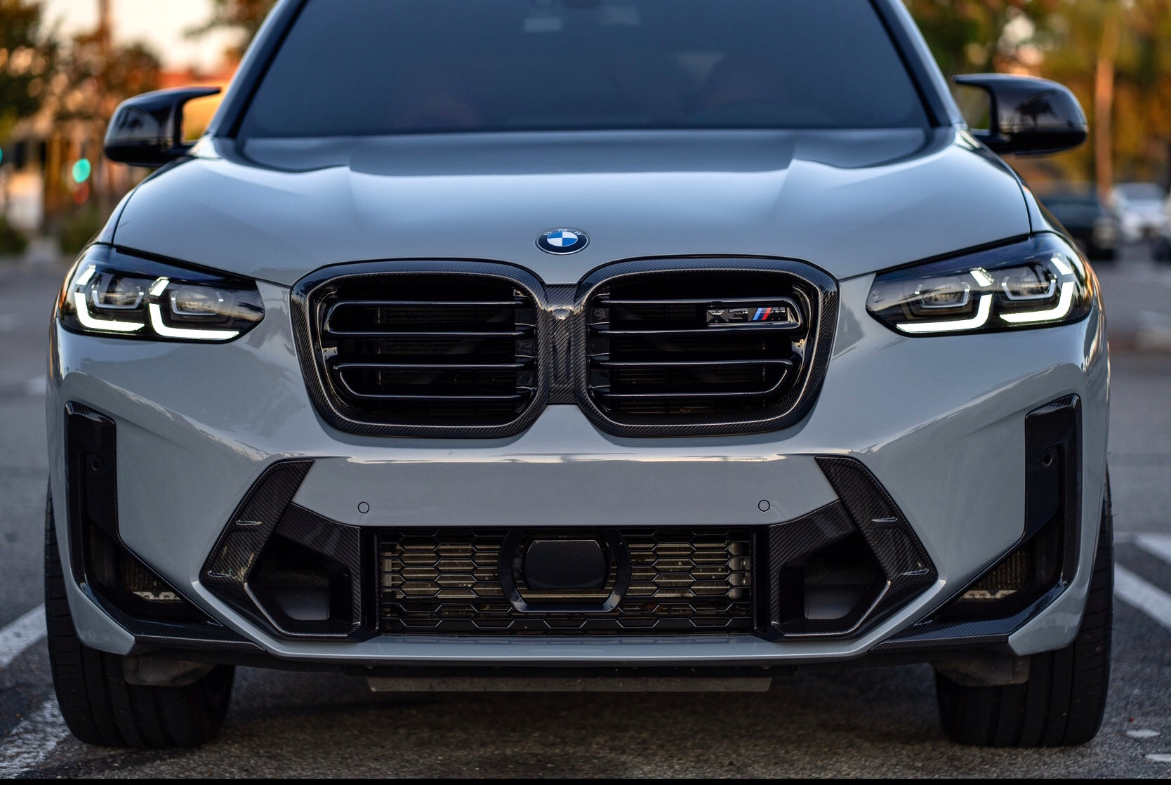 F97 X3M / F98 X4M Carbon Fiber Grille